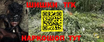 МДПВ Татарск